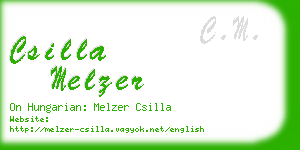 csilla melzer business card
